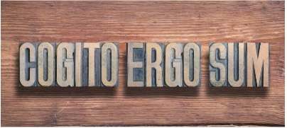 Cogito, ergo… che?